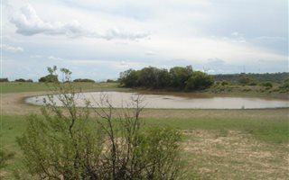1150 ha Farm in Excelsior