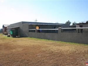 8 ha Farm in Tiegerpoort