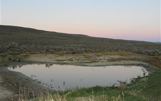 2818 ha Farm in Ceres