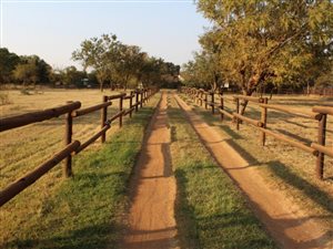 1 ha Smallholding in Kameeldrift East