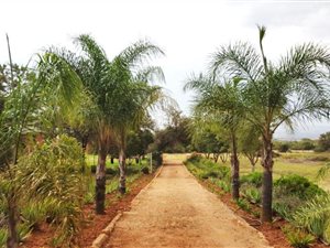 2.8 ha Farm in Boschkop