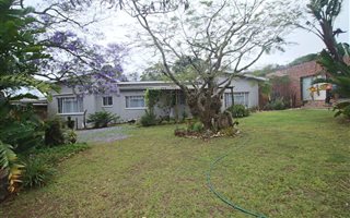 13 ha Farm in East London Central