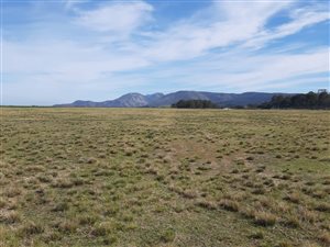 3.2 ha Land available in George Rural