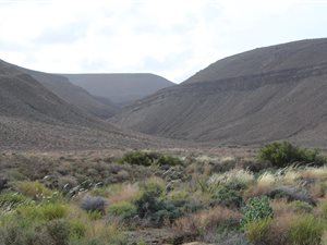 1157 ha Farm in Ceres