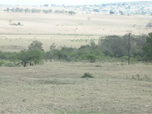 18.7 ha Farm in King Williams Town