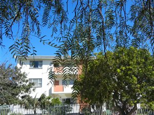 1 Bed Apartment in Humewood