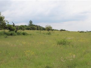1 m² Land available in Rietfontein