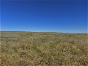 2569 ha Farm in Kenhardt