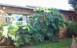 3 Bedroom House in Geelhoutpark