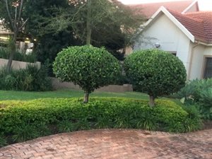 4 Bed Townhouse in Brooklands Lifestyle Estate