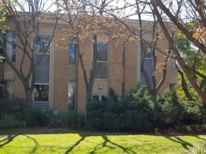 204.100006103516 m² Office Space in Houghton Estate