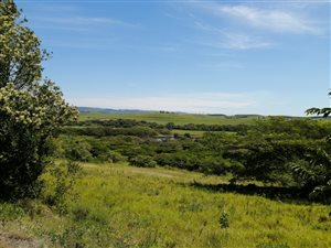 1437 m² Land available in Mtunzini