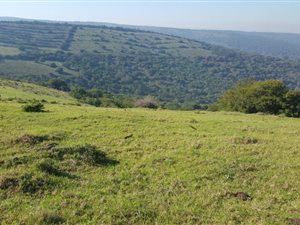 39.2 ha Farm in Thornhill