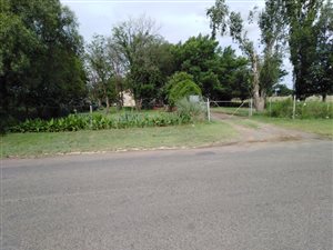 4 ha Smallholding in Bloemfontein