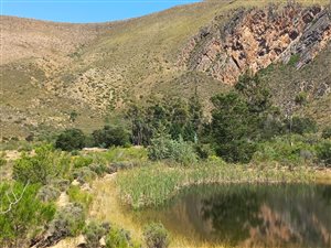 141 ha Farm in Ladismith