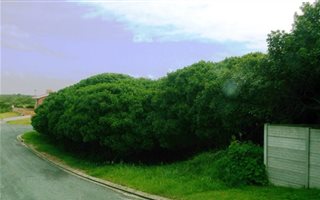 680 m² Land available in Kleinbaai