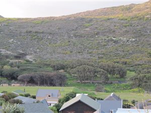 2 Bed Apartment in Simons Town