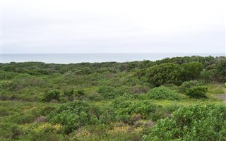 802 m² Land available in Boknesstrand