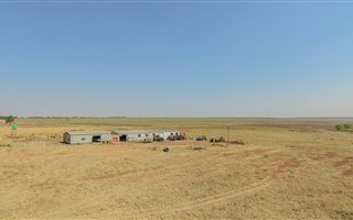21 ha Farm in Middelburg