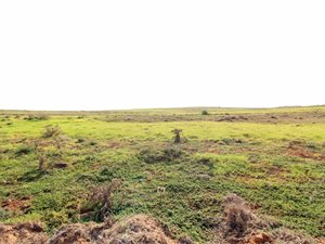 424 m² Land available in Hartenbos