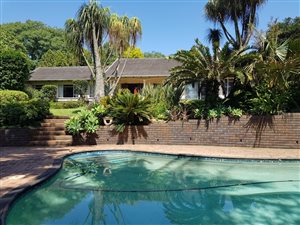 4 Bed House in Montrose