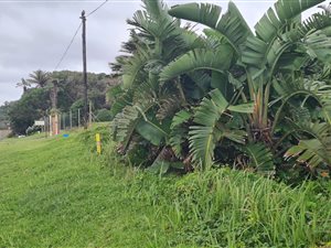 1137 m² Land available in Leisure Bay
