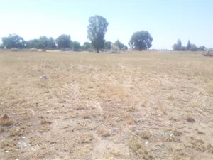 1000 m² Land available in Riversdale