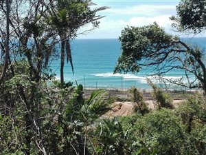 1151 m² Land available in Kelso