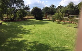 1000 m² Land available in Presidentsrus