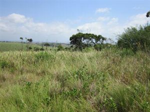 1567 m² Land available in Port Zimbali Estate