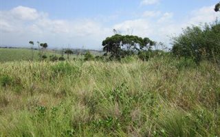 1567 m² Land available in Port Zimbali