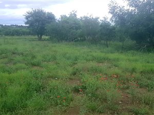 1221 m² Land available in Hazeldean (Silverlakes Surroundings)