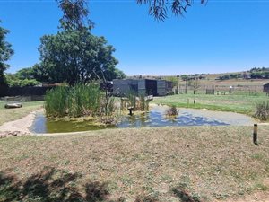 1 ha Farm in Mnandi AH