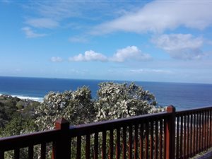 1 Bed Apartment in Dana Bay