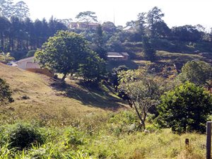 1.4 ha Land available in Bothas Hill