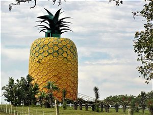 2.9 ha Farm in Bathurst and Surrounds