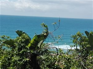 1151 m² Land available in Kelso