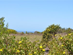 1900 m² Land available in Schoongezicht