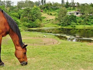 2 ha Smallholding in Izotsha