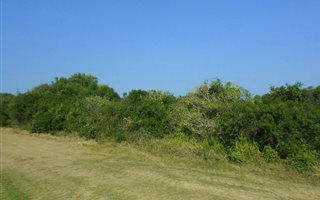 1071 m² Land available in Boknesstrand