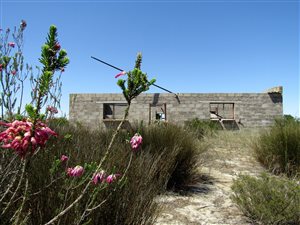 20 ha Farm in Hopefield