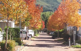 3 Bedroom House in Capolavoro Estate
