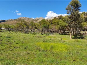 1 ha Farm in Firlands