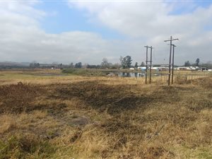 31 ha Farm in Cato Ridge