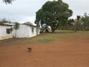 11 ha Farm in Onderstepoort
