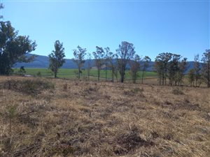 2 ha Farm in Stutterheim