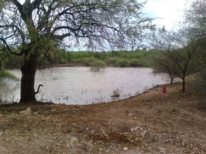 982 ha Farm in Musina