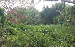 774 m² Land available in Melville