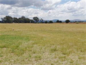 10.1 ha Farm in Meyerton