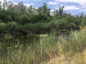 151.9 ha Farm in Kimberley North